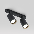 Rotatable 2 Head Spot Ceiling Light