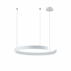 Esthetica Ring Pendant Light