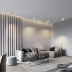 (2 pack) Surface Ceiling Light