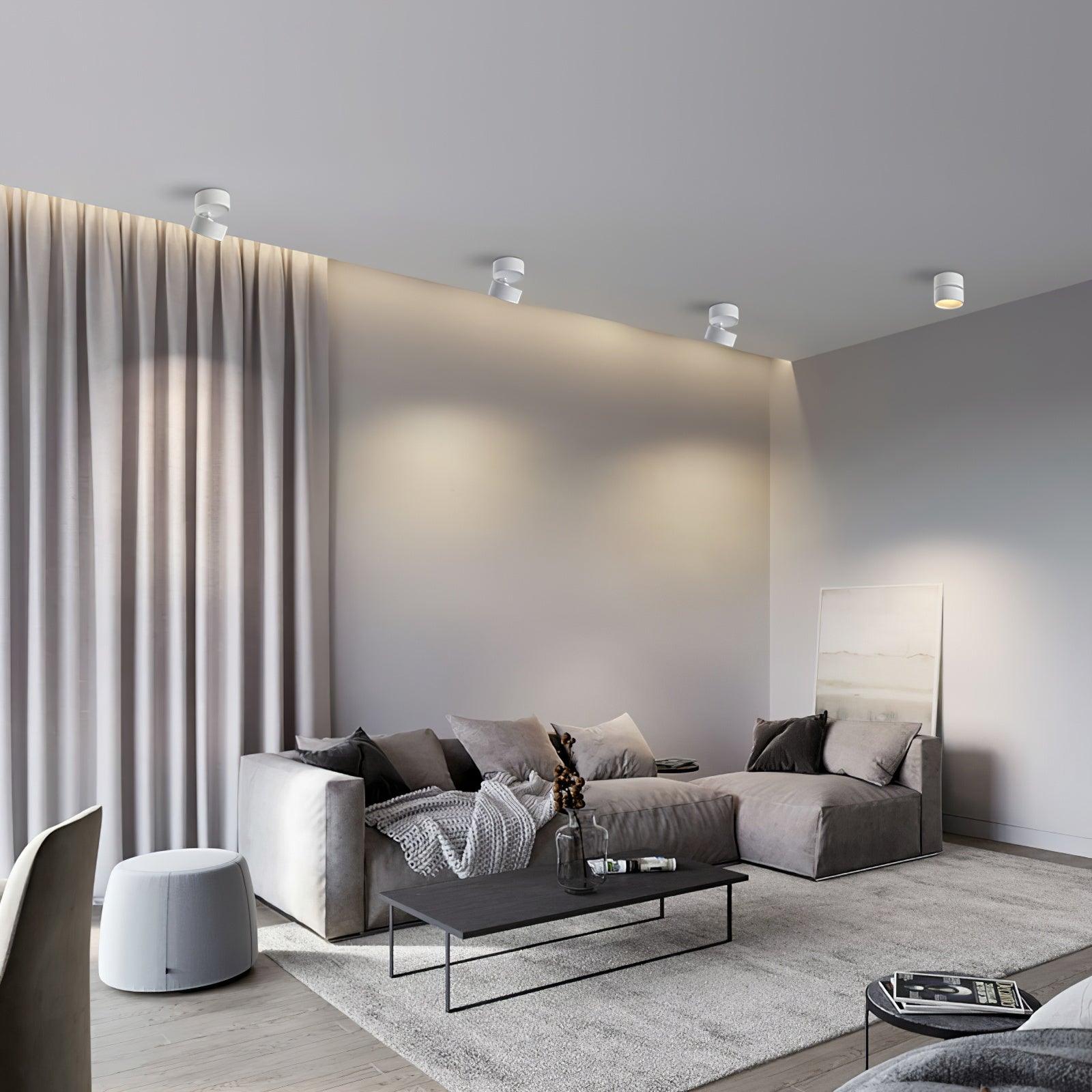 (2 pack) Surface Ceiling Light