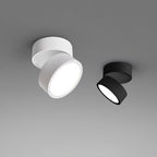 (2 pack) Surface Ceiling Light