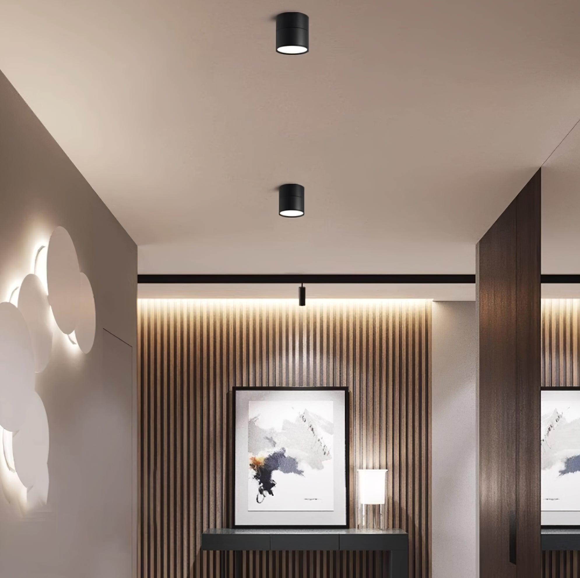 (2 pack) Surface Ceiling Light