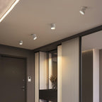 (2 pack) Surface Ceiling Light