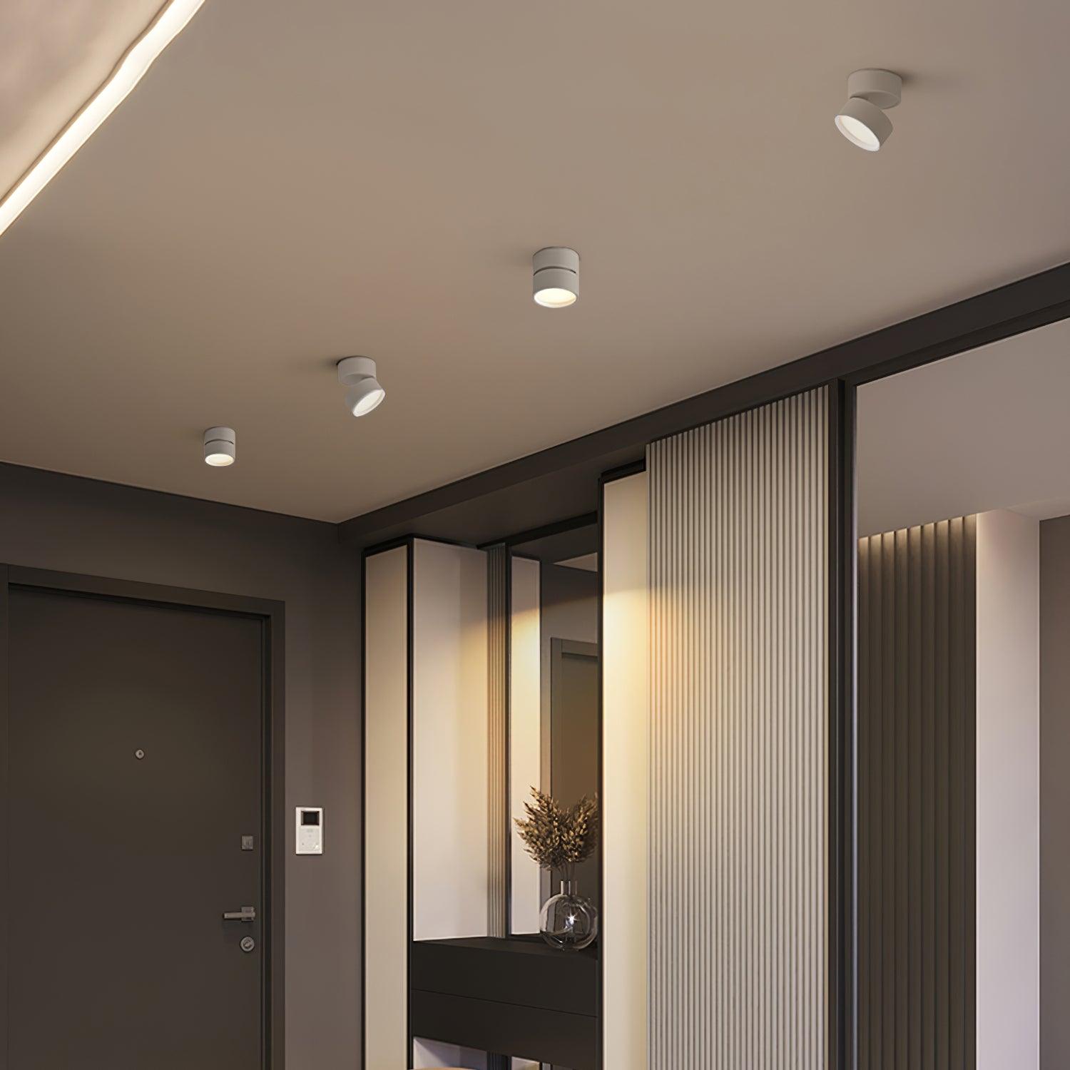 (2 pack) Surface Ceiling Light
