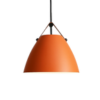 Scandinavian Colored Pendant Light