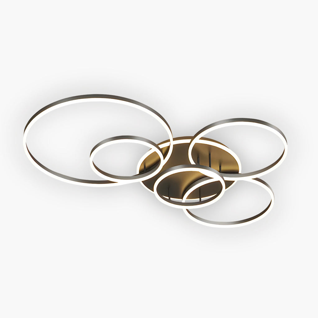 Randale's Ceiling Light