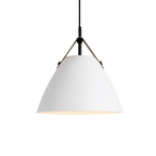 Scandinavian Colored Pendant Light
