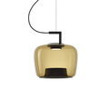 Jaura's Glass Pendant Light