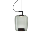 Jaura's Glass Pendant Light